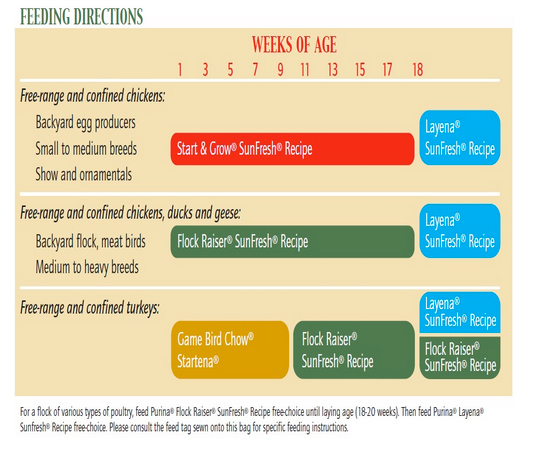 Chicken Feed Consumption Chart