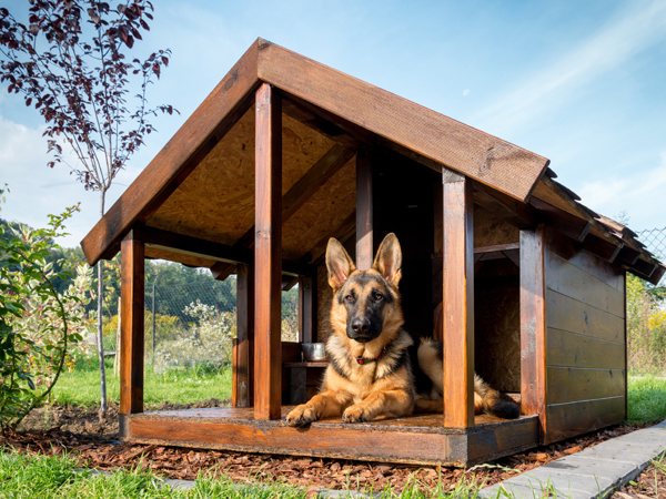 Diy Insulated Dog House How To Tips, How To Make Outdoor Dog House Warmer
