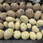 February Garden Tips - New Braunfels Feed & Supply
