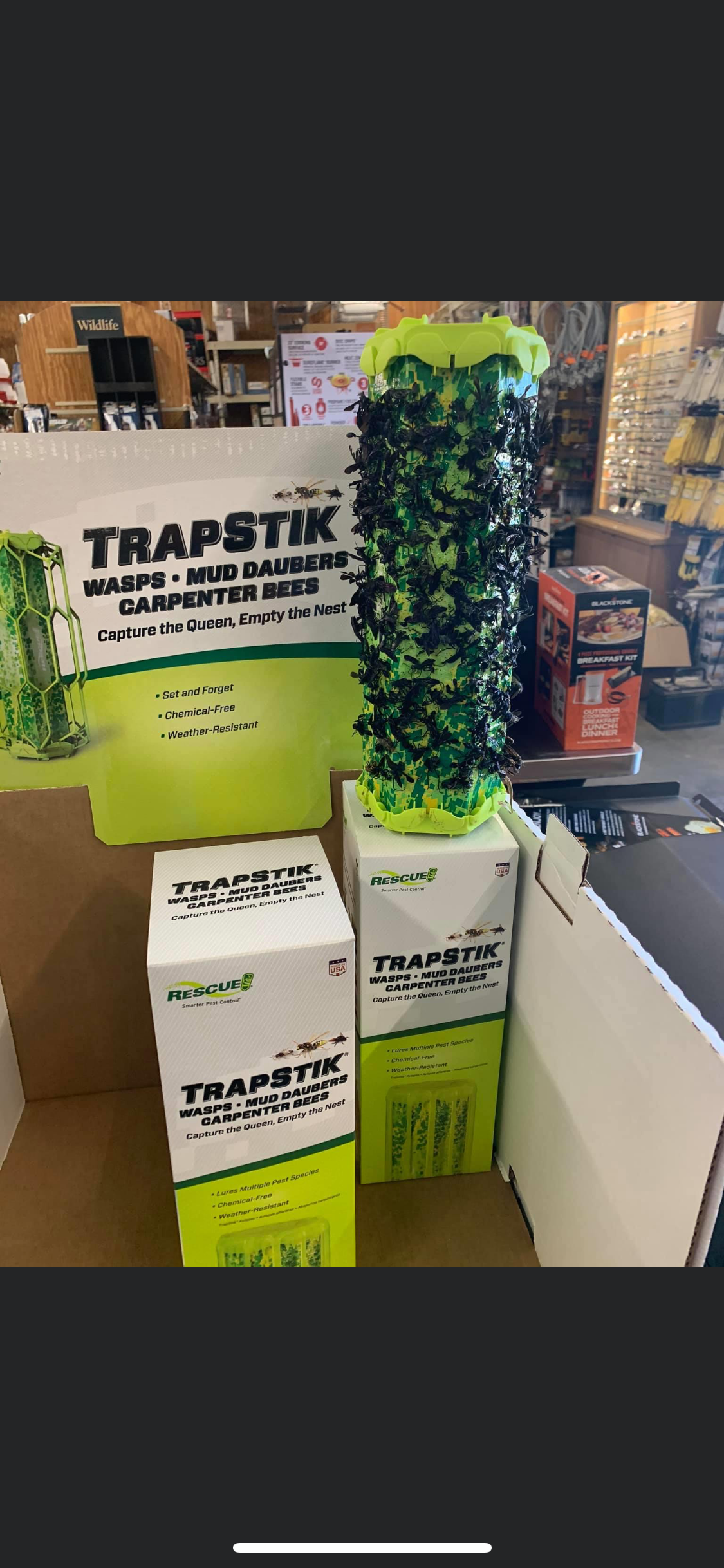 skeeter screen patio egg on Deer Corn Bookings J N Feed And Seed